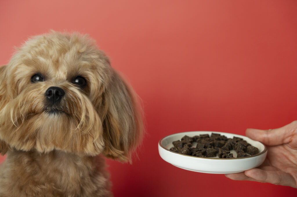 How Can Pet Food Manufacturers Ensure The Safety And Quality Of Their Ingredients