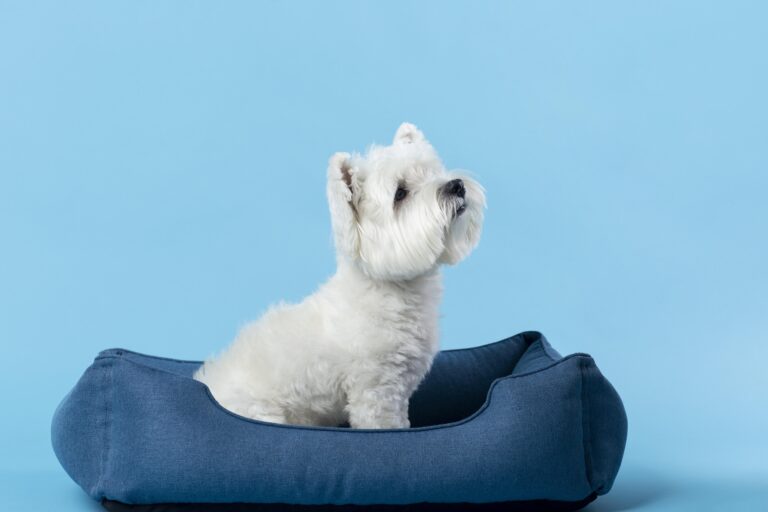 Heated Dog Beds EzPz