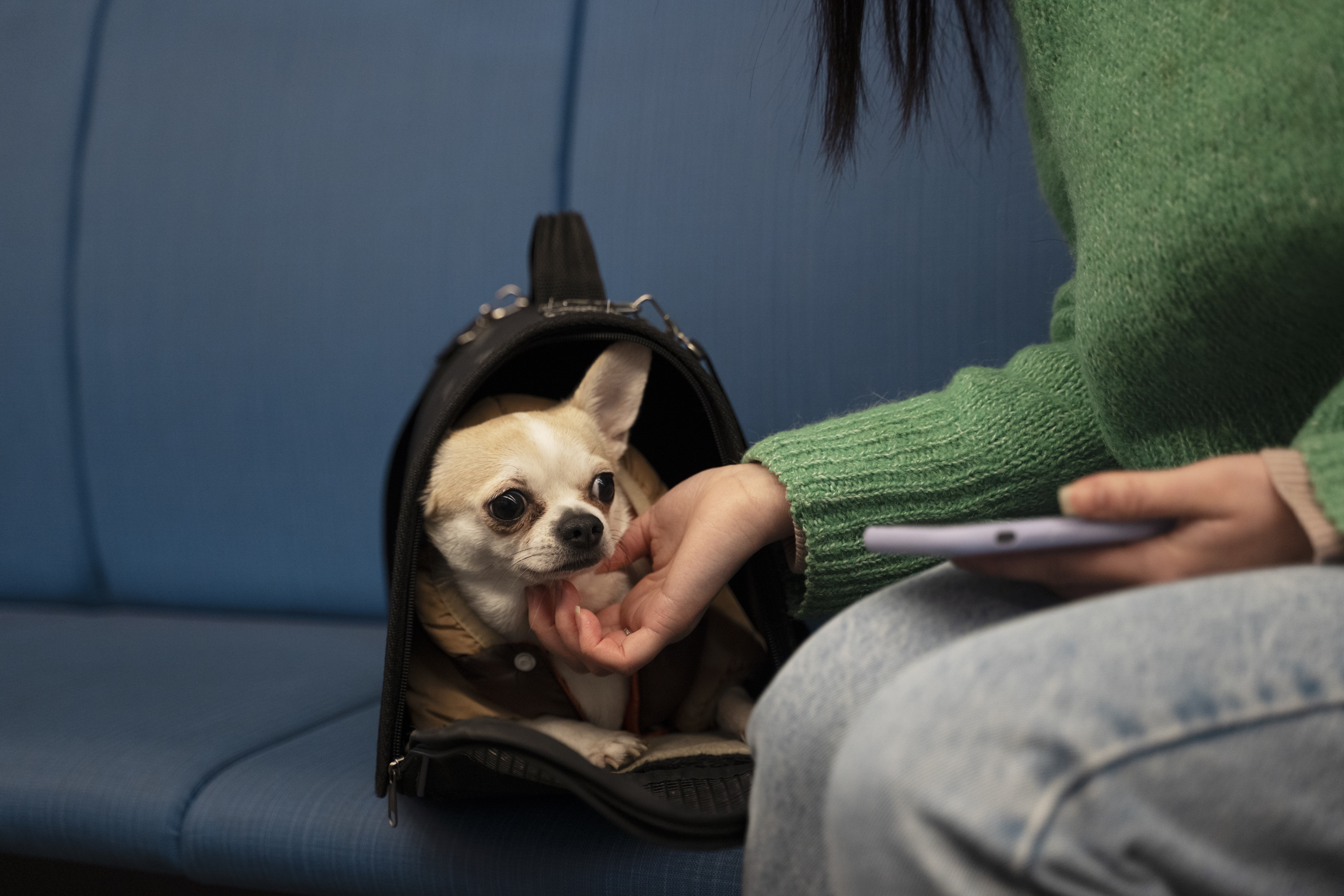 Choose The Right Tech Gadgets For Your Pet