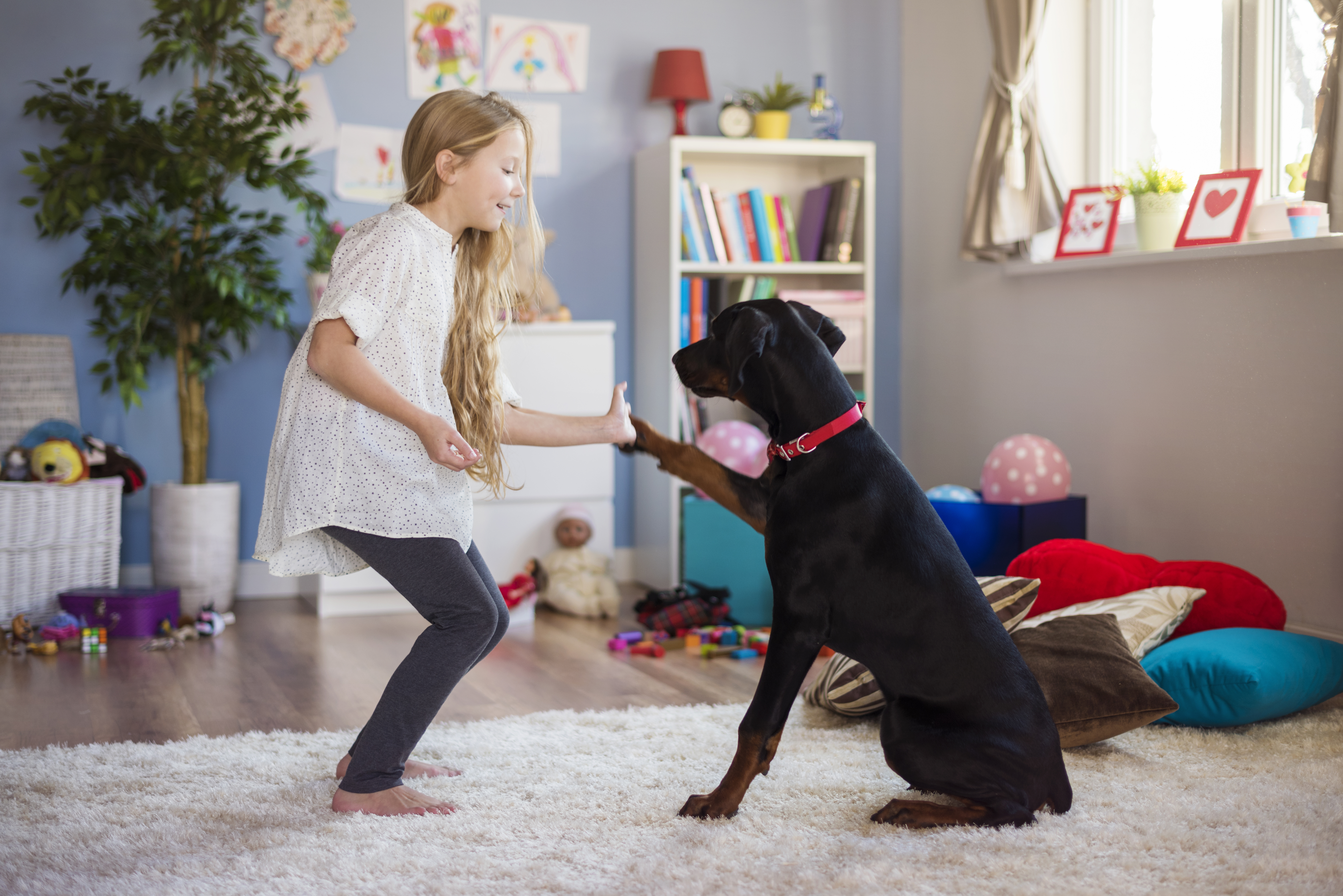 Indoor Playtime Strategies for High-Energy Pets in Winter