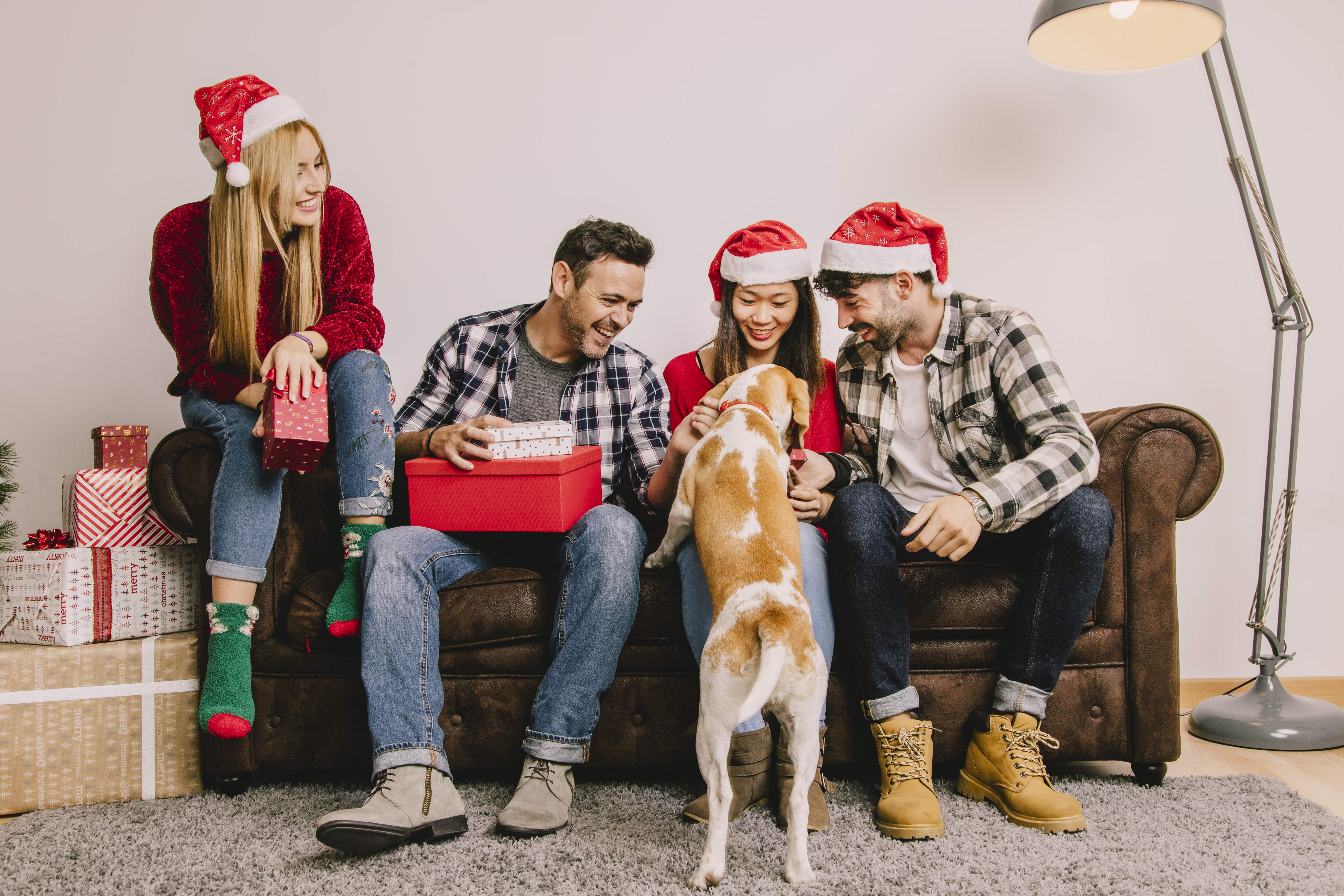 Pet-Proof Your Home for the Festive Season
