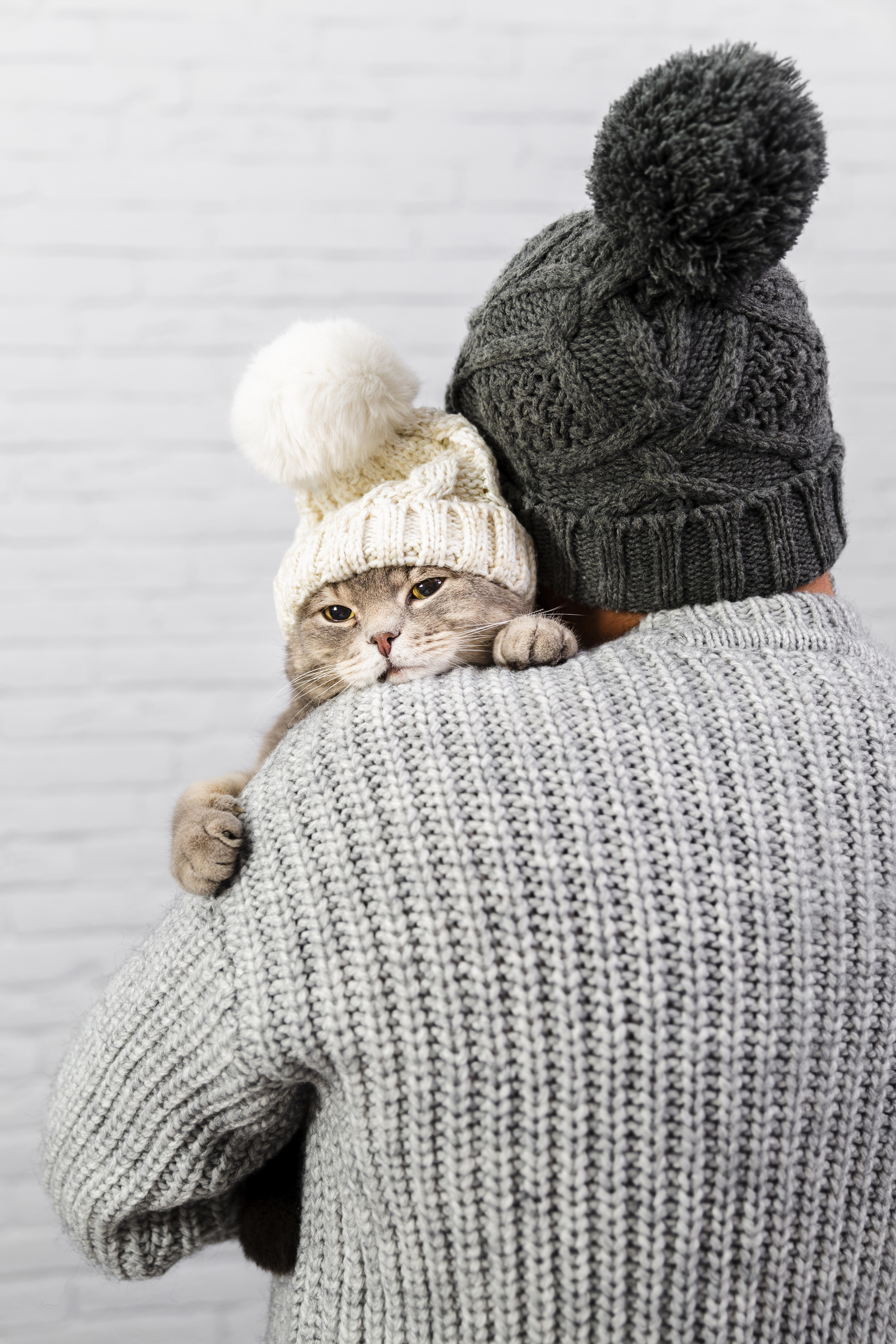 Protecting Your Cat From Cold Weather
