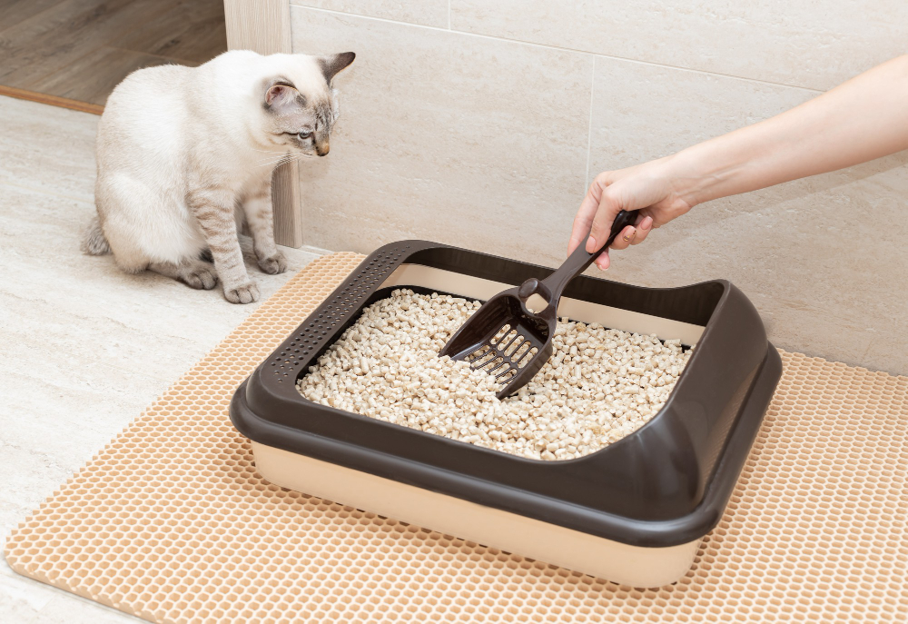 Eco Friendly Cat litter EzPz