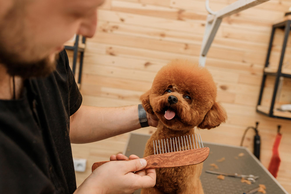 Wahl Grooming & Outdoor Gear: A Must-Have for Every Pet Owner