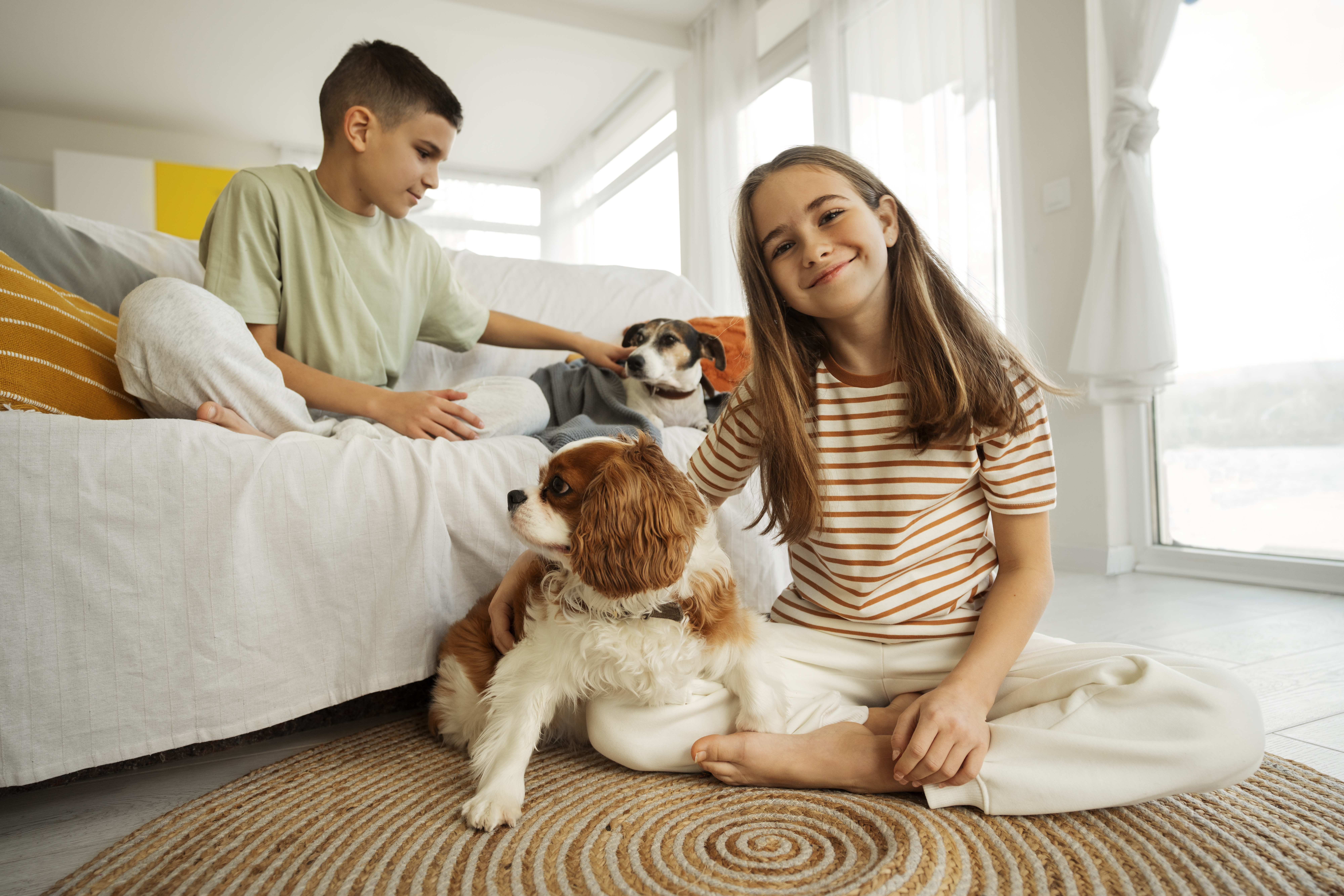 Effective Strategies for Introducing a New Pet to Your Current One.