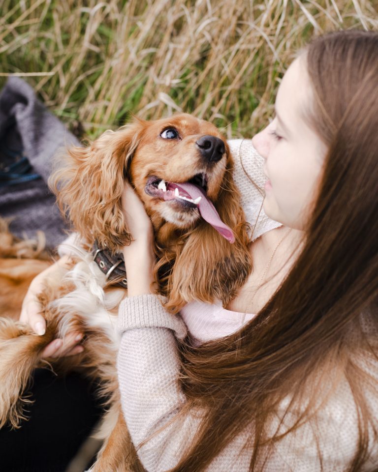 Heartwarming Stories of Pets and Their Humans