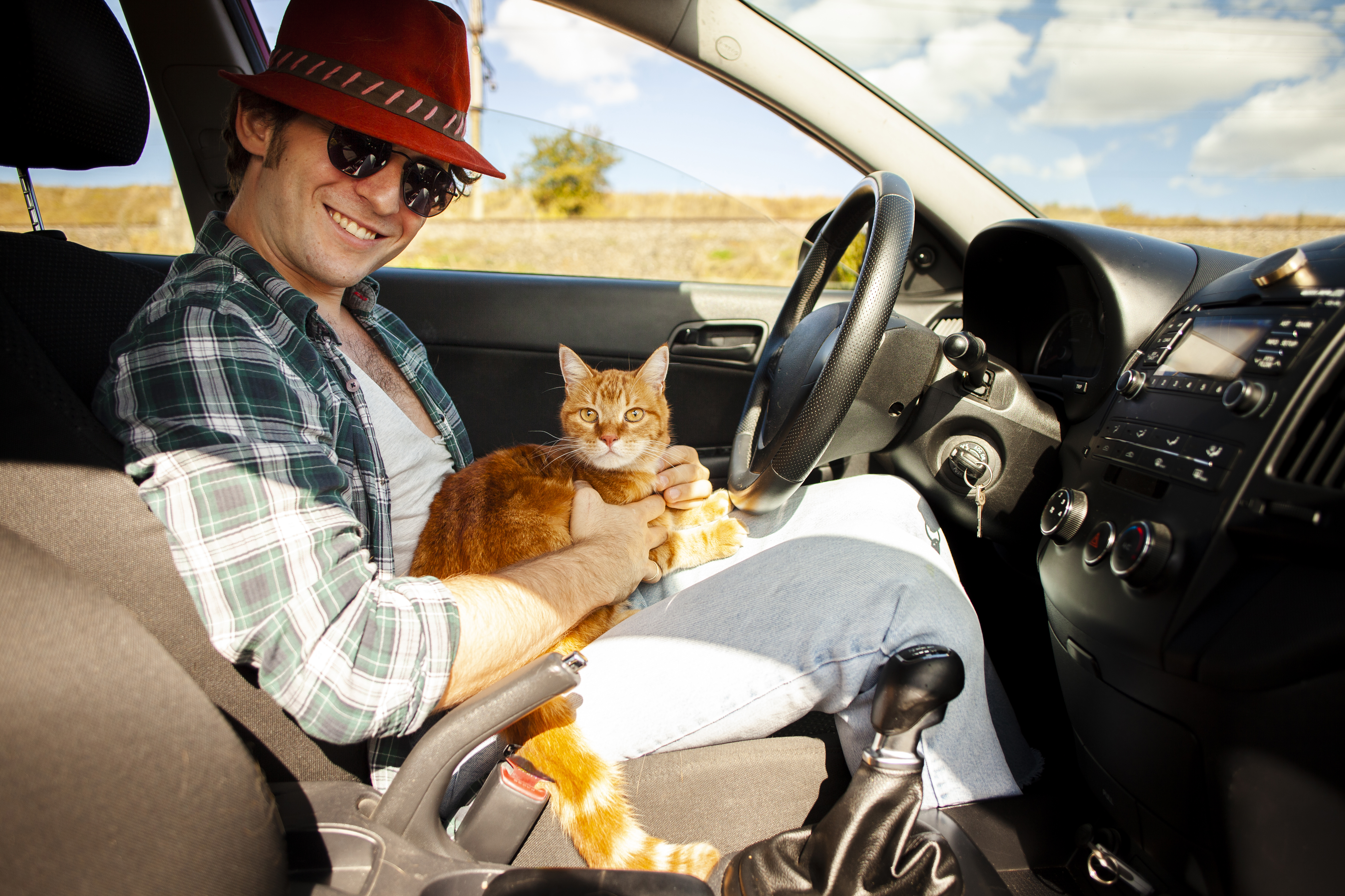 Stress-Free Road Trip with cat