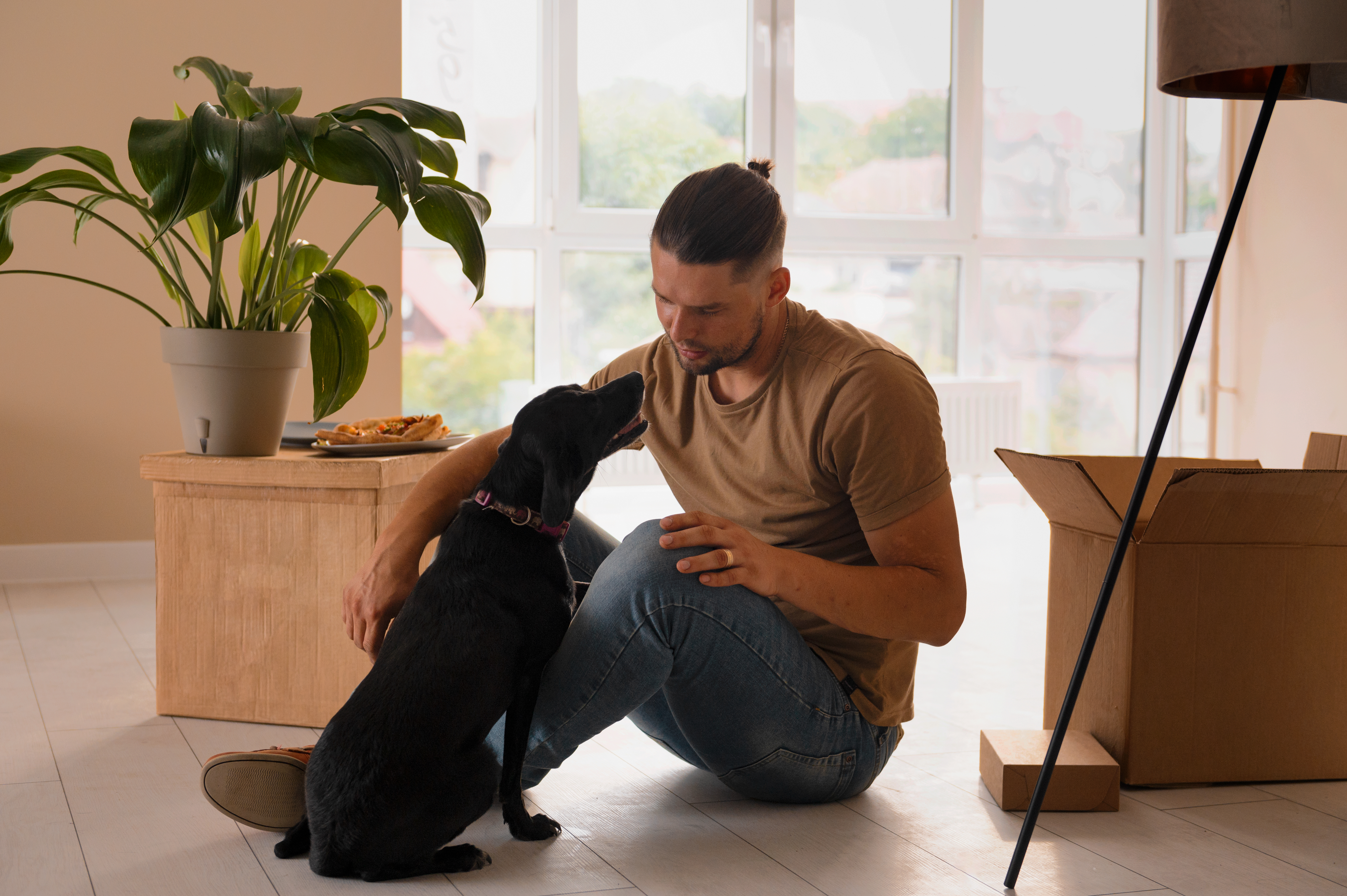 Help Your Pet Adjust To A New Home