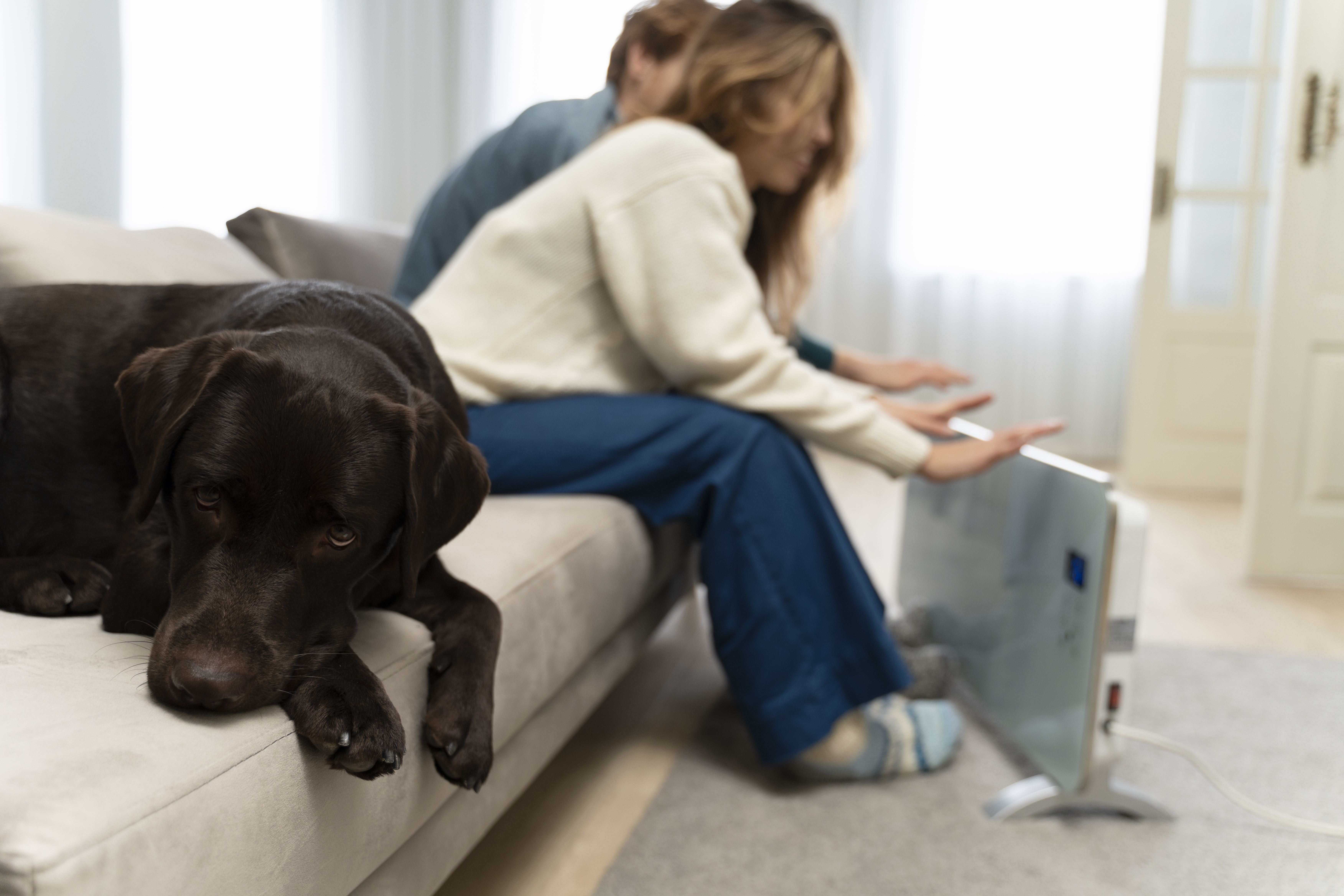 How To Deal With Pet Separation Anxiety During The Holidays-EzPz