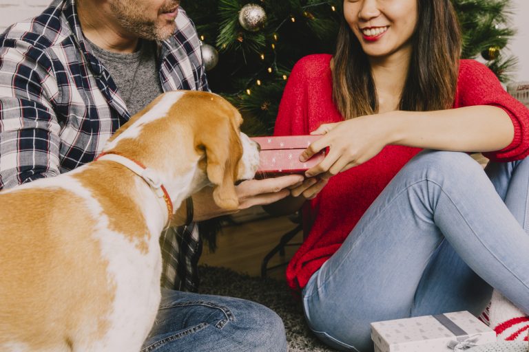 Diy Delights: Creating Pet-Friendly Treats For The Holidays