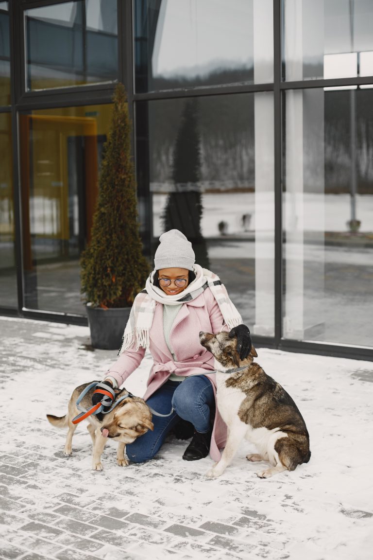 3 Ways to Socialize Your Dog During Winter Gatherings