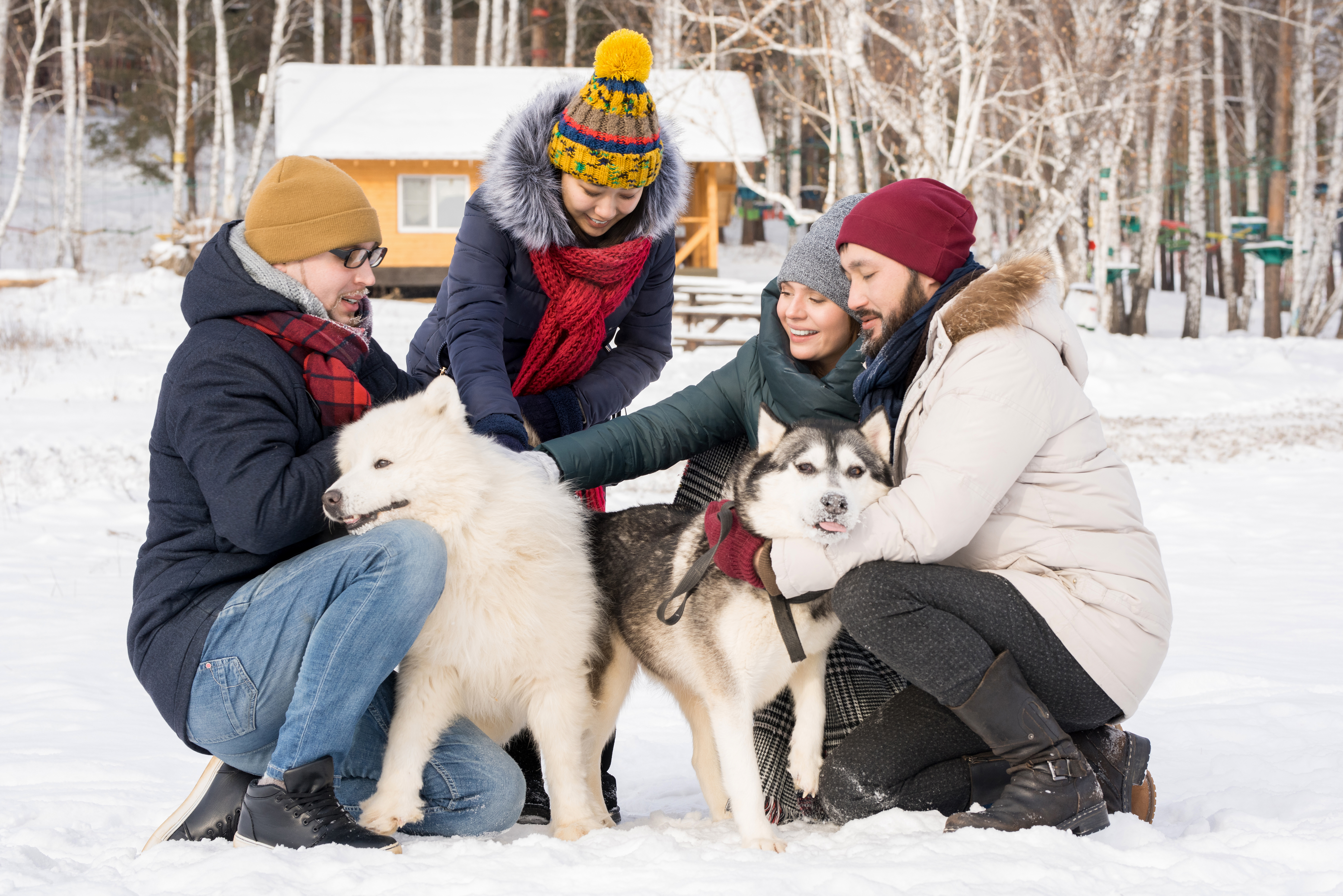 3 Ways to Socialize Your Dog During Winter Gatherings