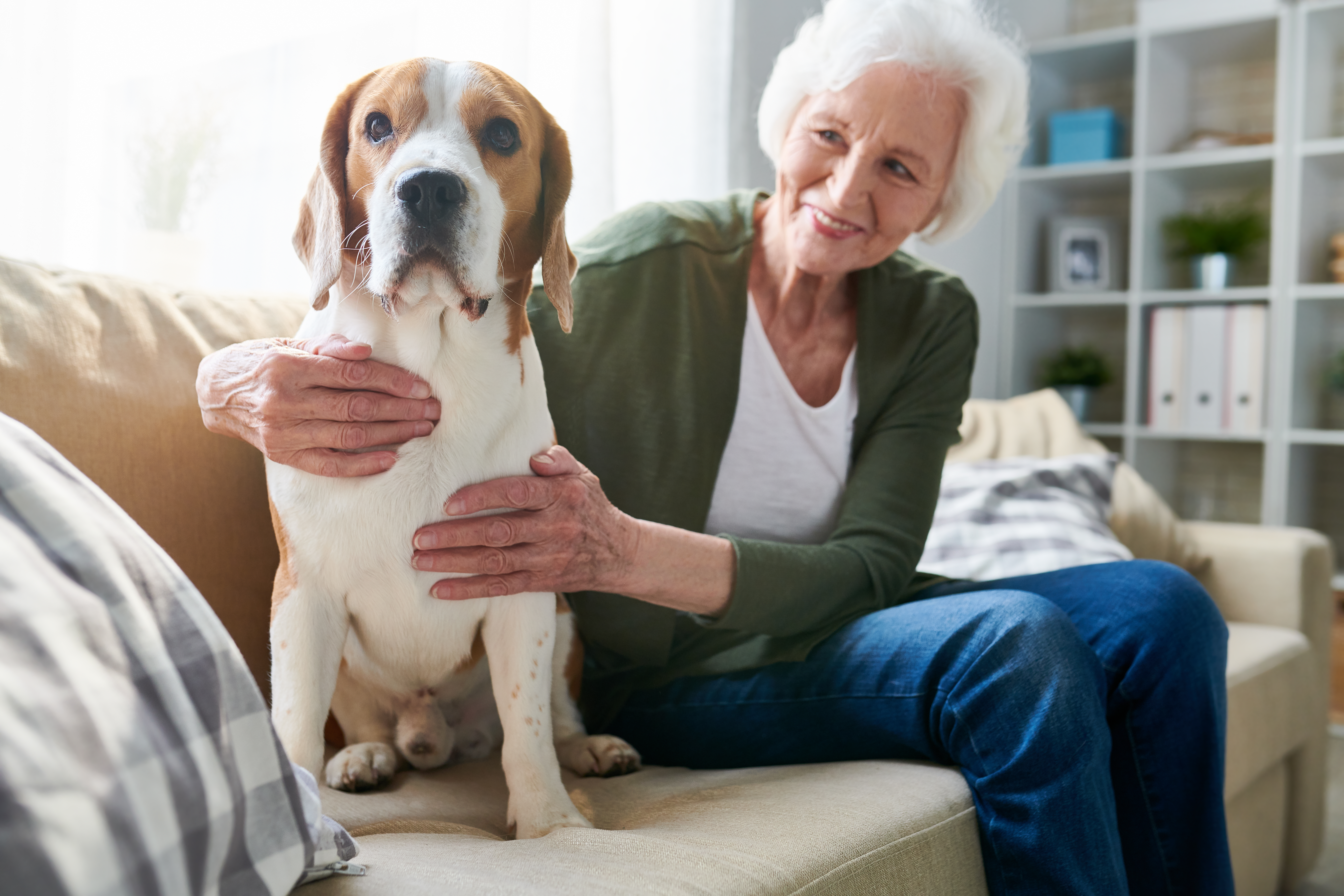 The Healing Touch: How Pet Therapy Benefits Senior Citizens