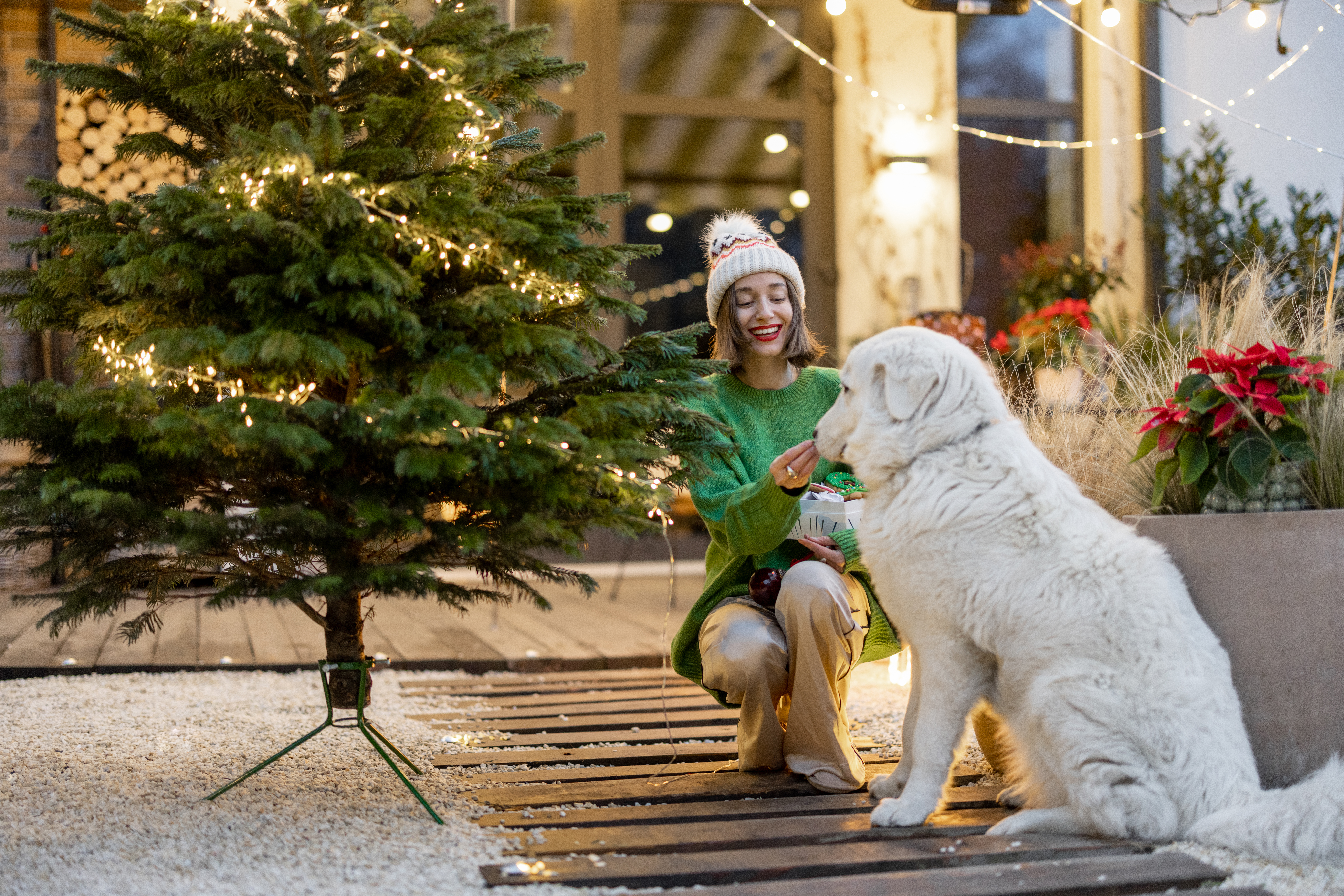 Holiday Hazards: 3 Common Seasonal Toxins Every Dog Owner Should Beware Of