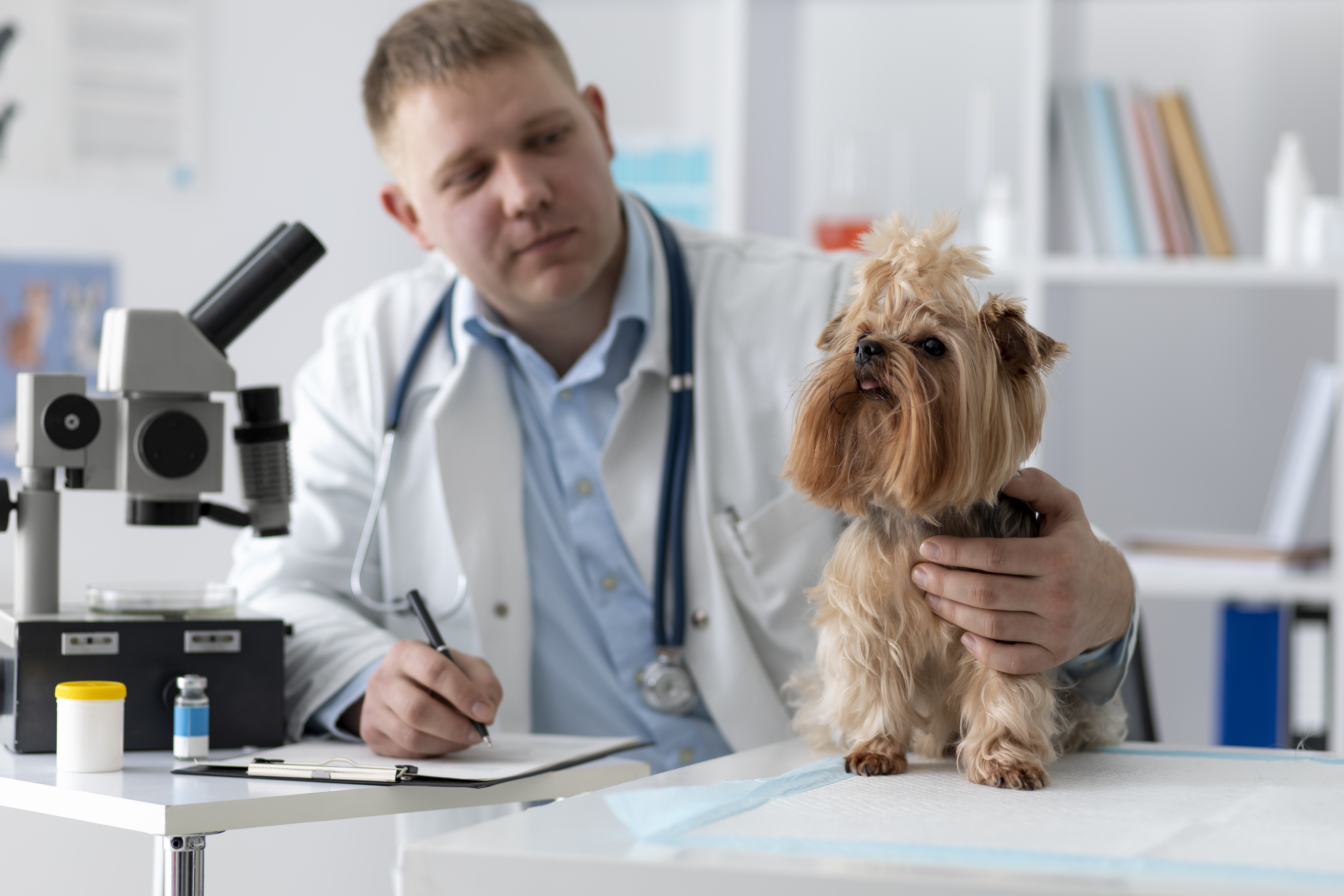 Vet News: Latest Updates And Innovations In The Veterinary World