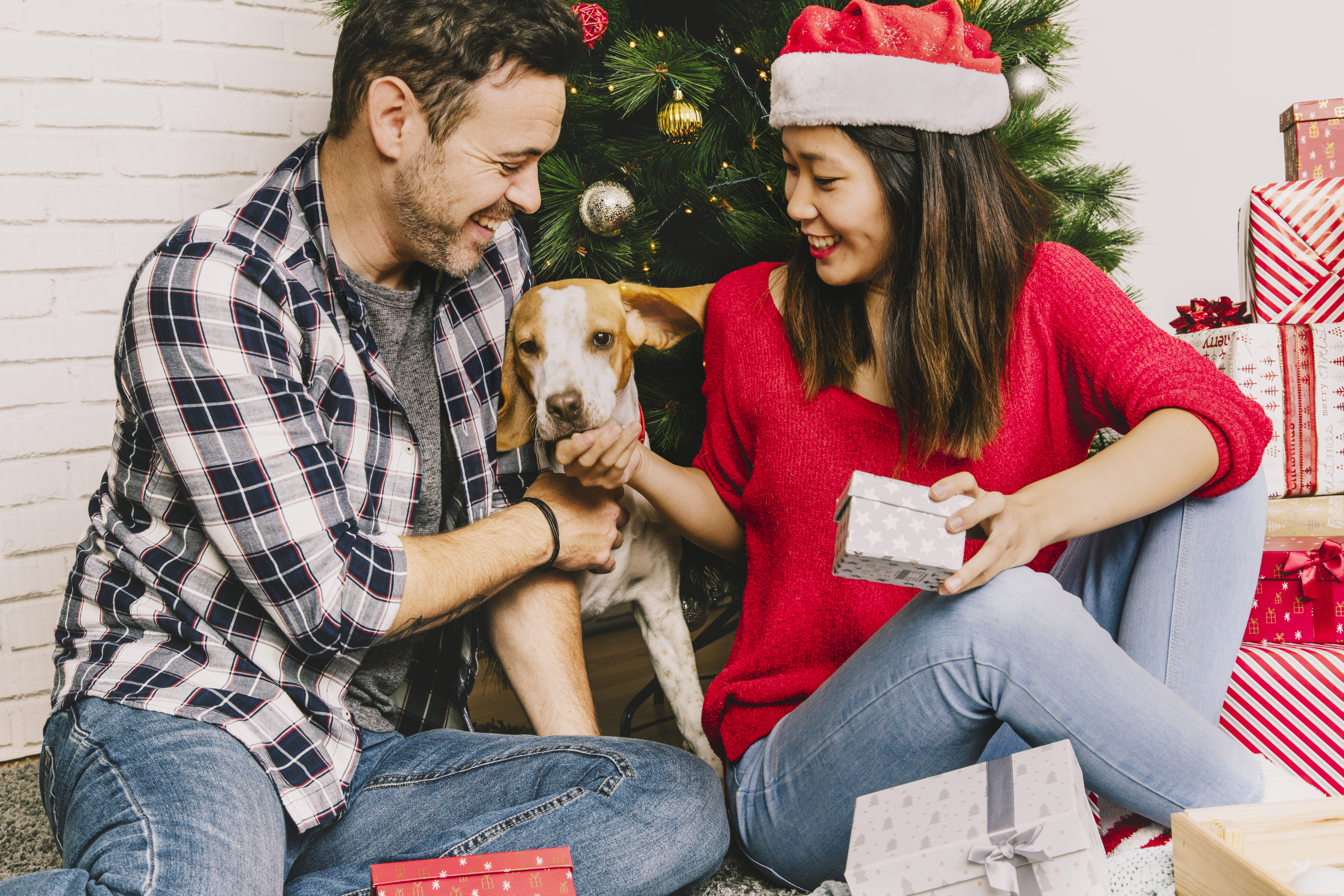 Holiday Gift Guide for Your Pets