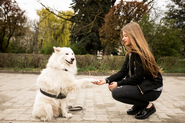 Teaching Your Dog to Greet Guests Politely