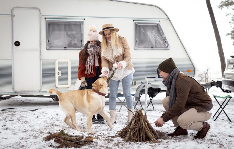 Winter Camping with Dogs 3 Must-Know Safety Tips