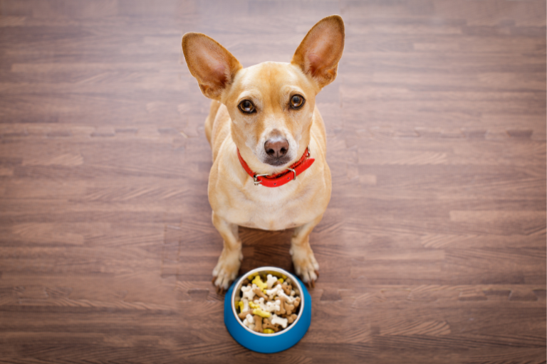 EzPz-How Can Manufacturers Ensure The Safety And Effectiveness Of Pet Food Packaging Materials