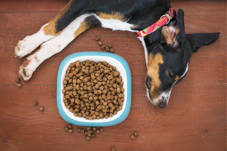 How Can Pet Food Manufacturers Ensure The Proper Balance Of Nutrients In Their Formulations