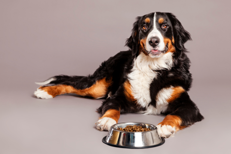 How Can Pet Food Manufacturers Ensure The Proper Balance Of Nutrients In Their Formulations