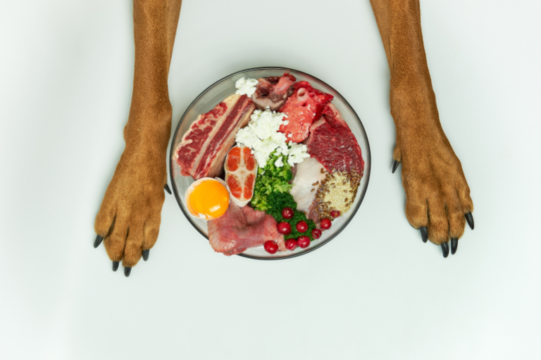 How Can Pet Food Manufacturers Ensure Accurate Labeling Of Ingredients And Nutritional Information
