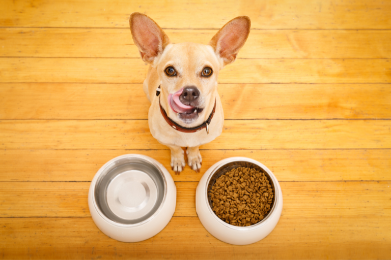 How Can Pet Food Manufacturers Ensure The Proper Balance Of Nutrients In Their Formulations