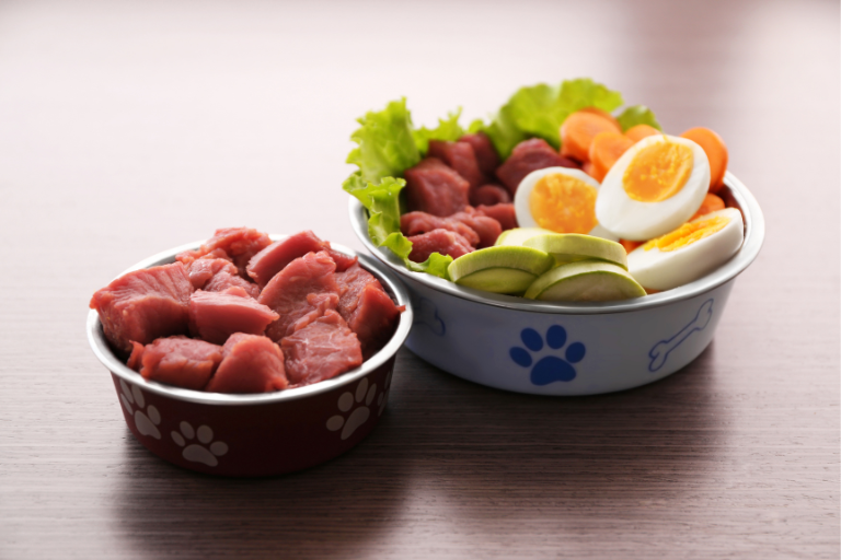 What Measures Should Be Taken To Prevent The Use Of Prohibited Substances In Pet Food Production