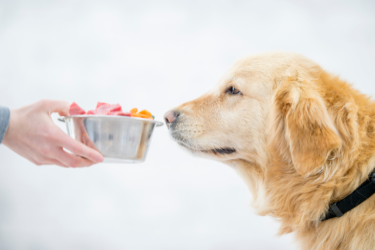 What Measures Should Be Taken To Prevent The Use Of Prohibited Substances In Pet Food Production