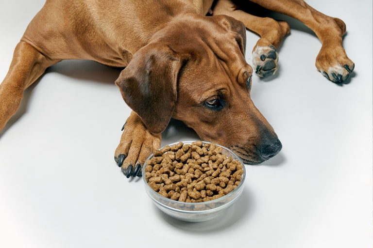 What Guidelines Should Be Followed For The Use Of Novel Ingredients In Pet Food Formulations