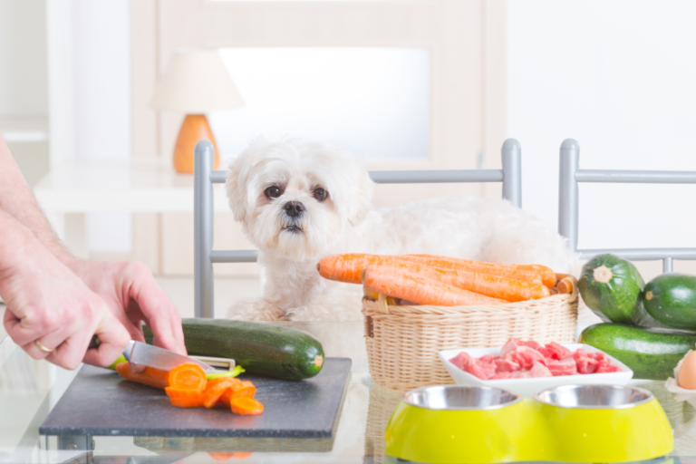 How Can Pet Food Manufacturers Address The Potential Risks Associated With Artificial Colors Or Flavors