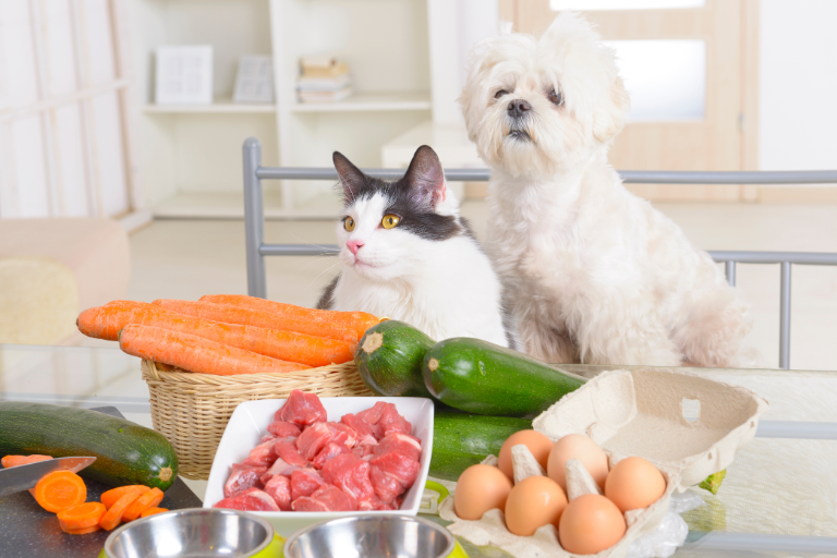 What Measures Should Be Implemented To Prevent The Inclusion Of GMO Ingredients In Organic Pet Food Products
