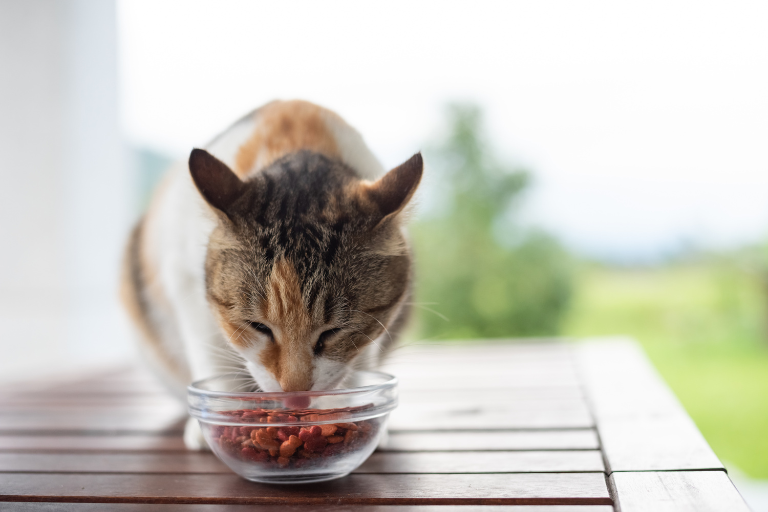 What Measures Should Be Taken To Prevent The Growth Of Harmful Bacteria In Moist Or Wet Pet Food Products