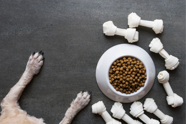 Mitigating Risks Addressing Common Food Allergens In Pet Food Manufacturing