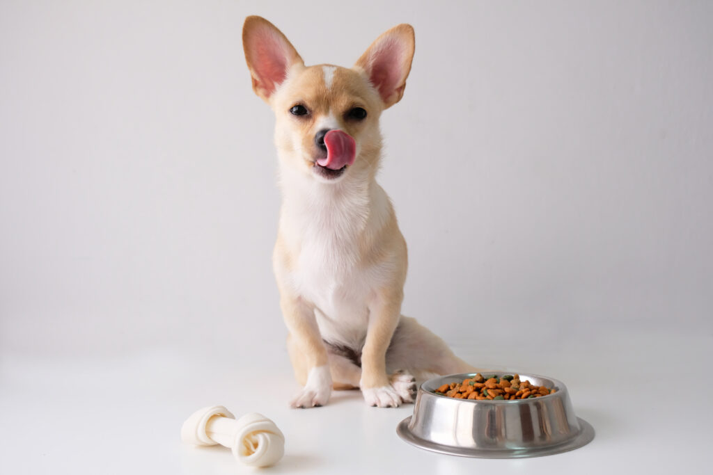 Safeguarding Quality Measures To Prevent The Growth Of Harmful Bacteria In Dry Pet Food Products