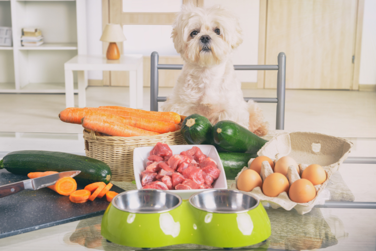 Ensuring Safety Protocols For Handling And Processing Raw Or Minimally Processed Pet Food