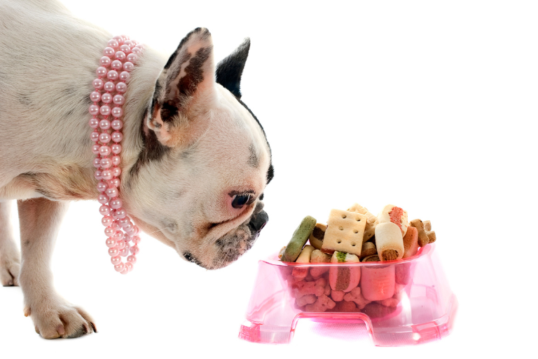 Steps To Prevent The Presence Of Heavy Metals, Such As Lead Or Mercury, In Pet Food
