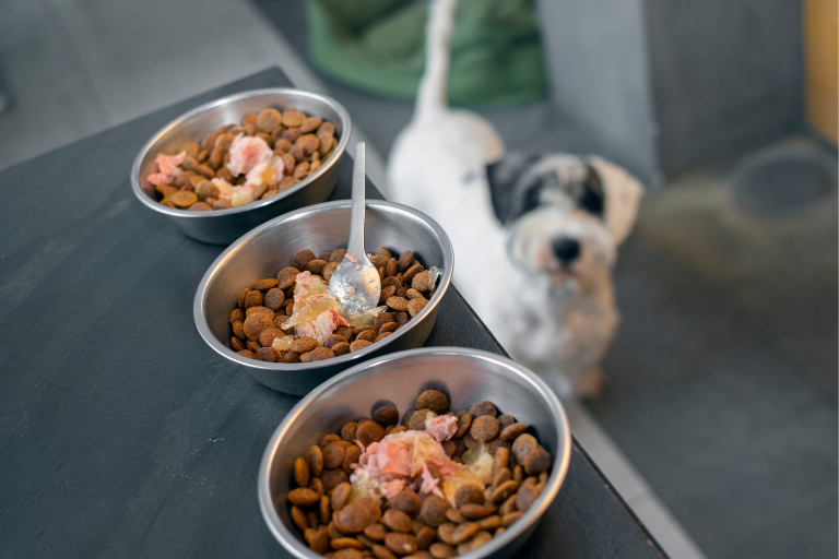 What Measures Should Be Taken To Prevent The Growth Of Harmful Bacteria In Moist Or Wet Pet Food Products