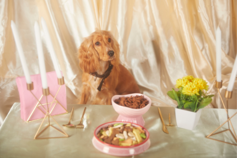What Protocols Should Be In Place To Handle And Process Freeze-Dried Or Dehydrated Pet Food Safely