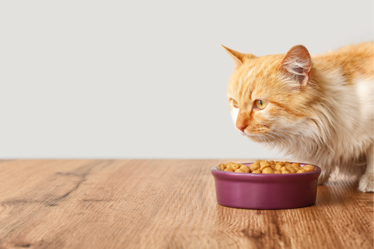 What Steps Should Be Taken To Prevent The Inclusion Of Toxic Plants Or Plant Parts In Pet Food