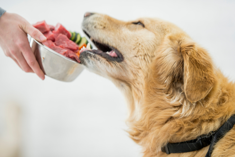 What Measures Should Be Implemented To Prevent The Growth Of Harmful Parasites In Raw Pet Food Products