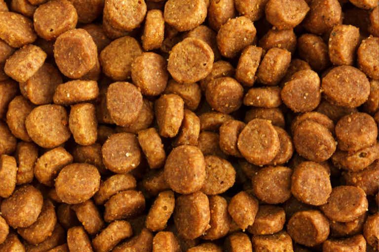 Addressing Risks Pet Food Manufacturers And Common Food Sensitivities