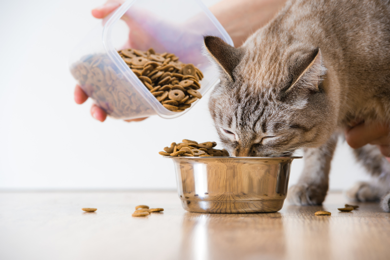 Addressing Risks Pet Food Manufacturers and Common Food Additives