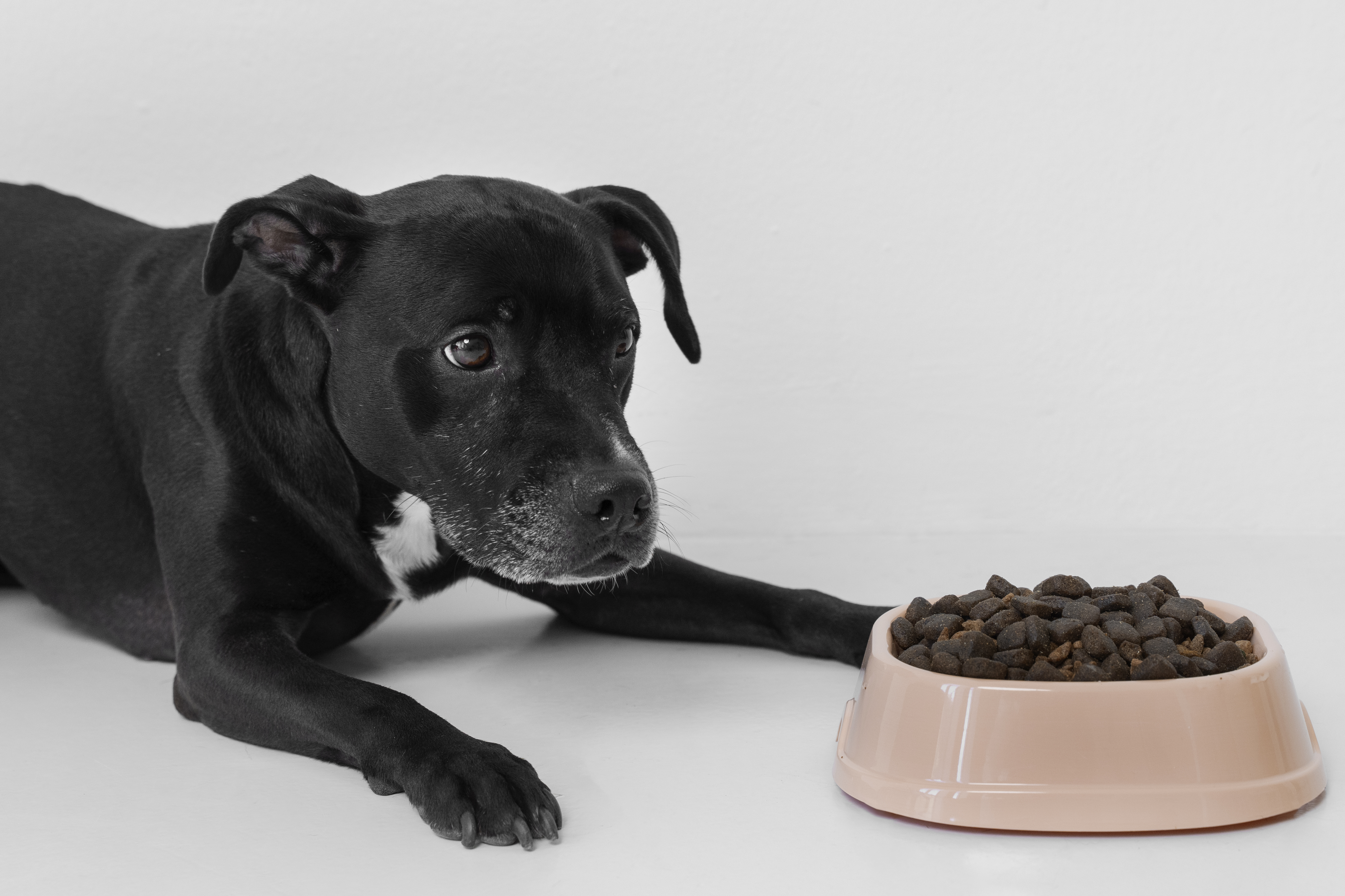 How can manufacturers ensure the safety and nutritional adequacy of limited-ingredient or hypoallergenic pet food
