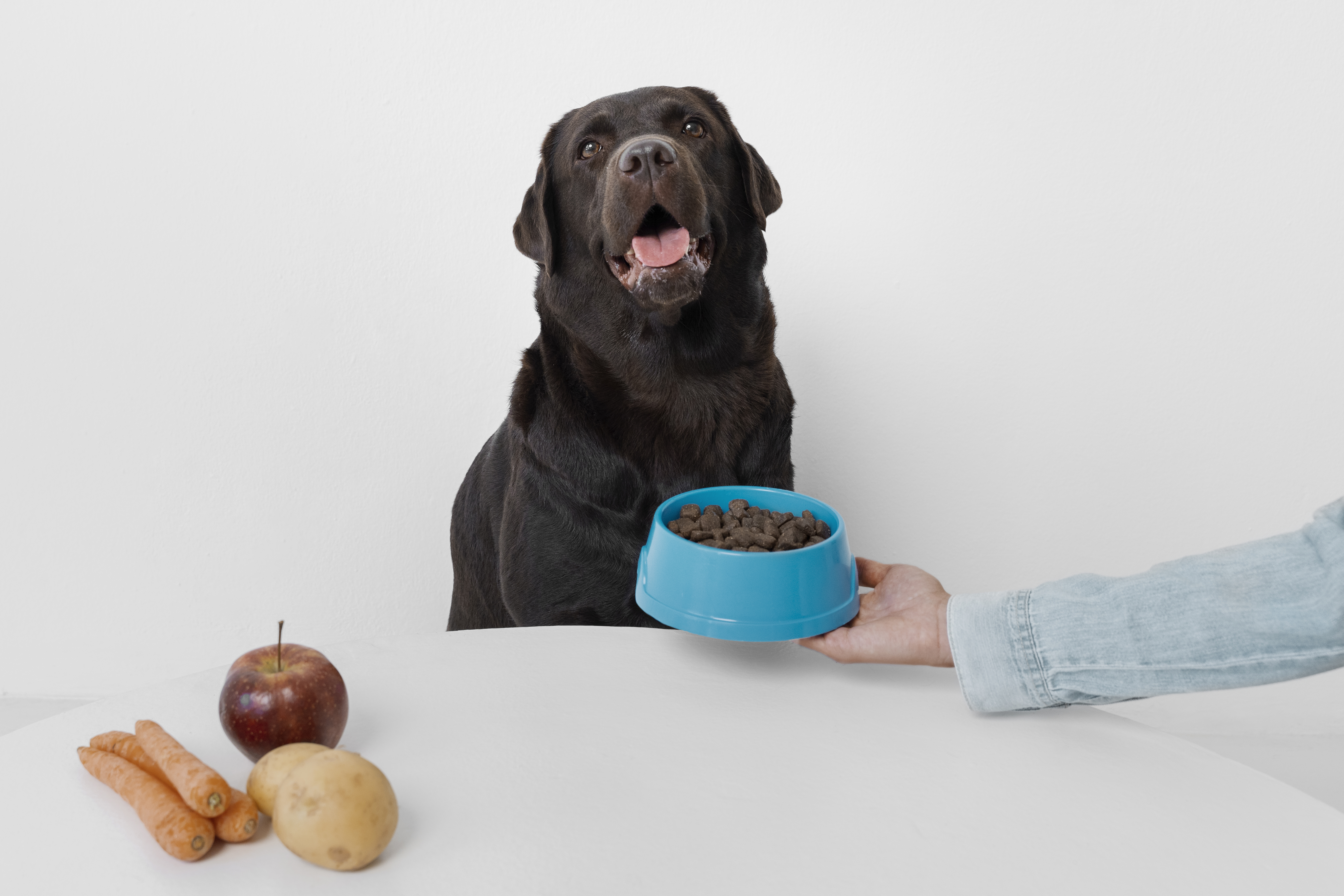 How can manufacturers ensure the safety and palatability of dental chews or treats for pets