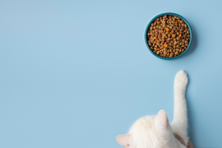 Preventing Inclusion Of Contaminated Ingredients Safeguarding Pet Food