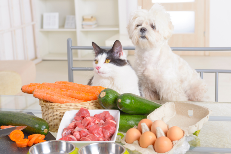 Safeguarding Seafood-Based Pet Food Preventing Inclusion Of Toxic Substances