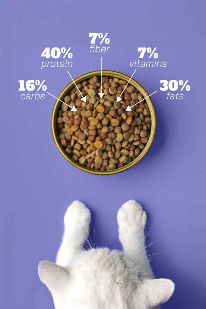 What measures should be implemented to prevent the inclusion of by-products or waste materials in pet food