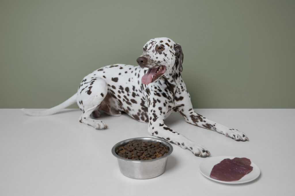 What steps should be taken to prevent the presence of allergenic ingredients, such as peanuts or tree nuts, in pet food