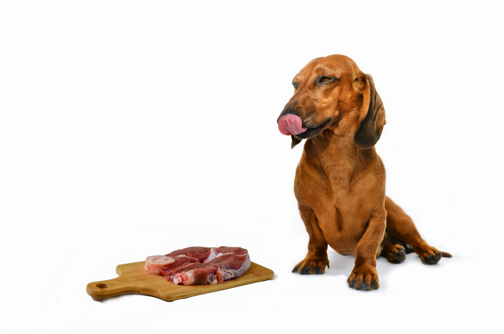 How Can Manufacturers Ensure The Safety And Palatability Of Specialized Diets For Sensitive Stomachs Or Digestive Disorders In Pets